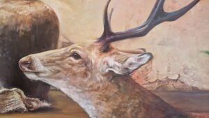 Actaeon’s choice