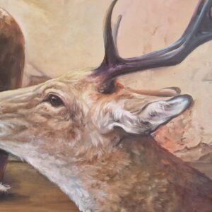 Actaeon’s choice
